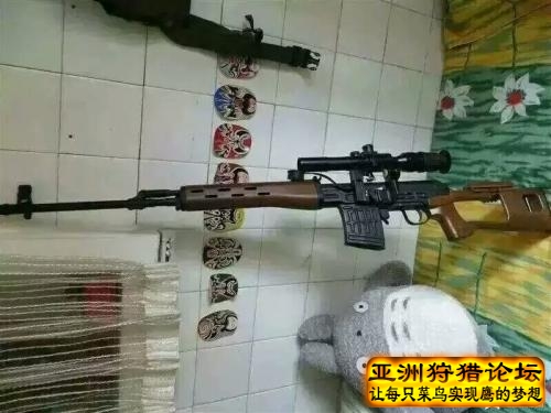 各类精品手狗带你品