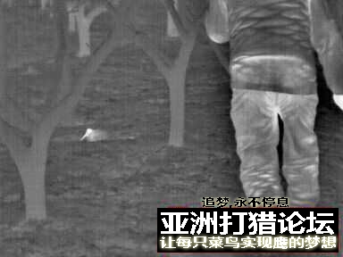 晚上出去为了不跌倒，用热成像拍了一些照片，供大家欣赏！~