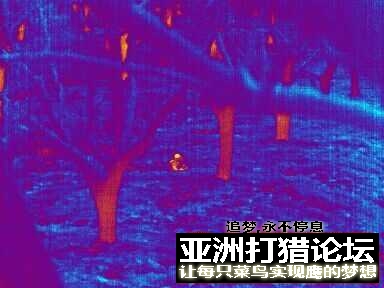 晚上出去为了不跌倒，用热成像拍了一些照片，供大家欣赏！~