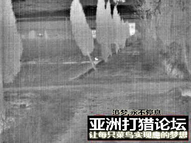 晚上出去为了不跌倒，用热成像拍了一些照片，供大家欣赏！~