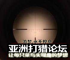 瞄镜， 米国人玩的