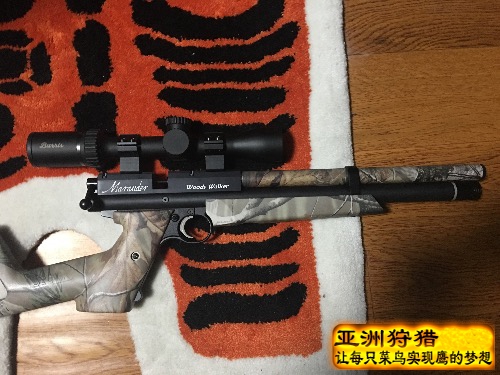 迷彩本杰明手P配了个帕里斯短瞄！真是漂亮！