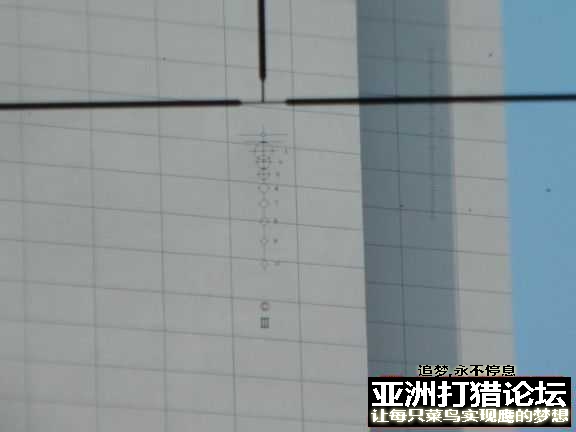 TU子伴侣 欧洲牧羊人的视霸