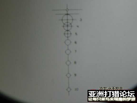 TU子伴侣 欧洲牧羊人的视霸
