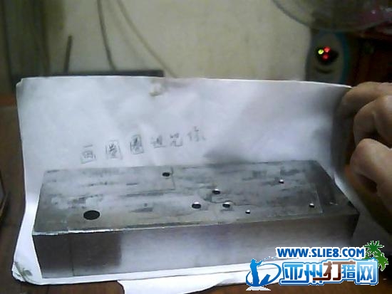 D松鼠第一步