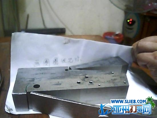 D松鼠第一步