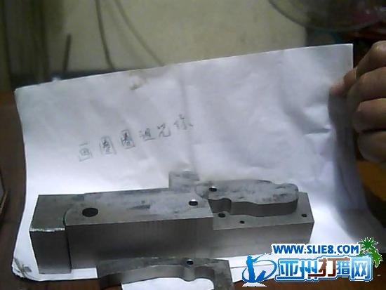 D松鼠第一步
