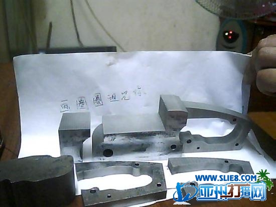 D松鼠第一步