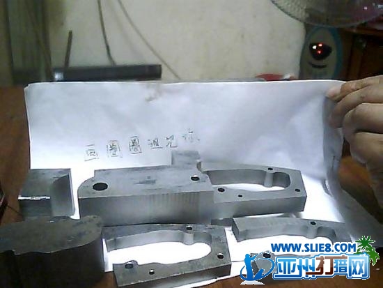 D松鼠第一步