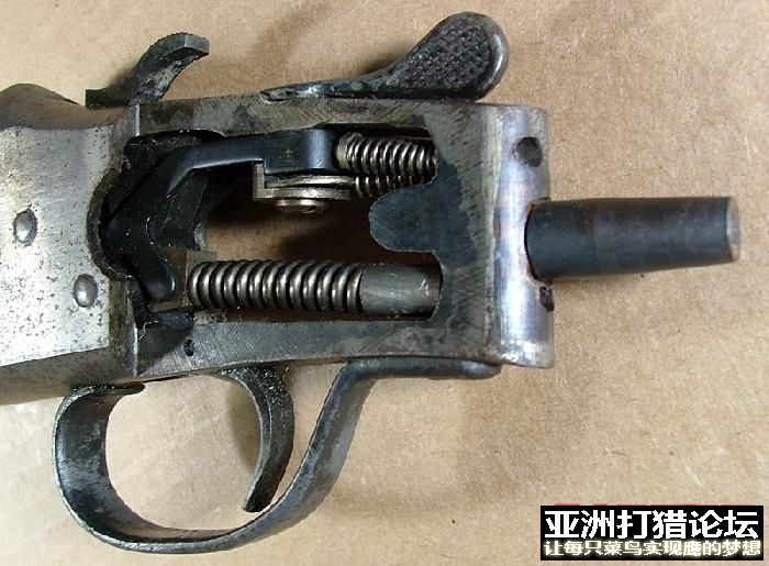 狗机欣赏