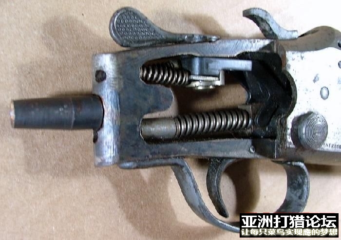 狗机欣赏