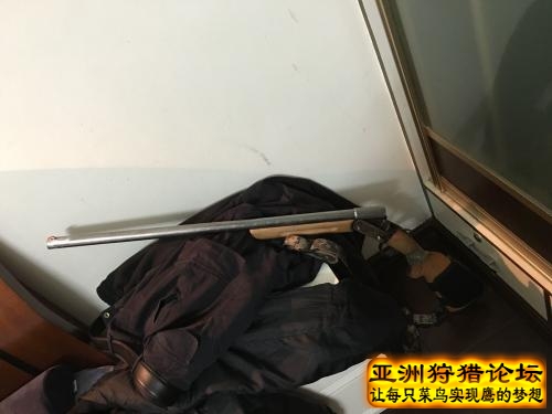 来看看我自D的狗包括木托