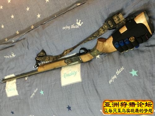 来看看我自D的狗包括木托