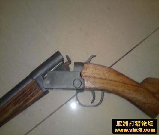 刚刚完成的12号狗..