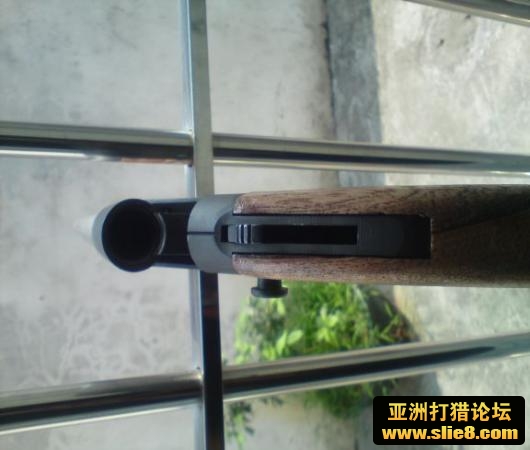 刚刚完成的12号狗..