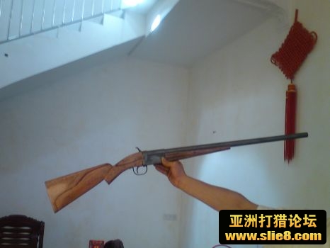 刚刚完成的12号狗..