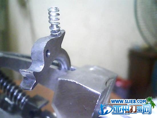 D松鼠第三步  内件
