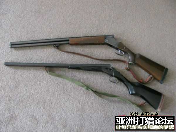 鹰平，虎立....二强镇宅...