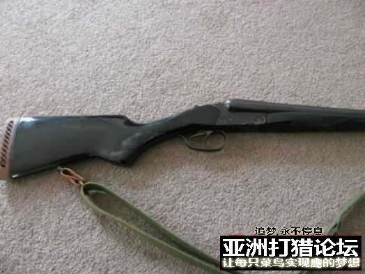 鹰平，虎立....二强镇宅...
