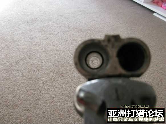 鹰平，虎立....二强镇宅...