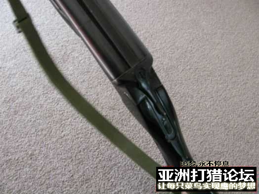 鹰平，虎立....二强镇宅...