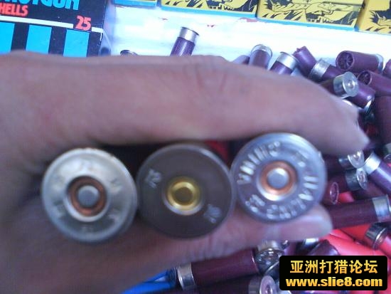 12狗粮，有1号，4号，3号，5号。