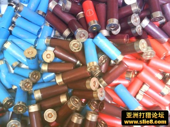 12狗粮，有1号，4号，3号，5号。