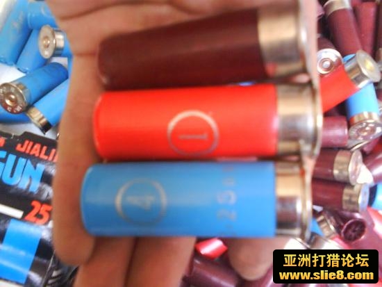 12狗粮，有1号，4号，3号，5号。