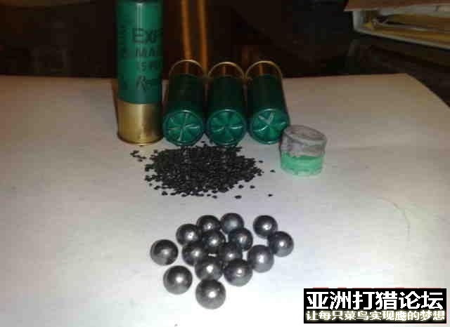 12号猎g00霰弹分解
