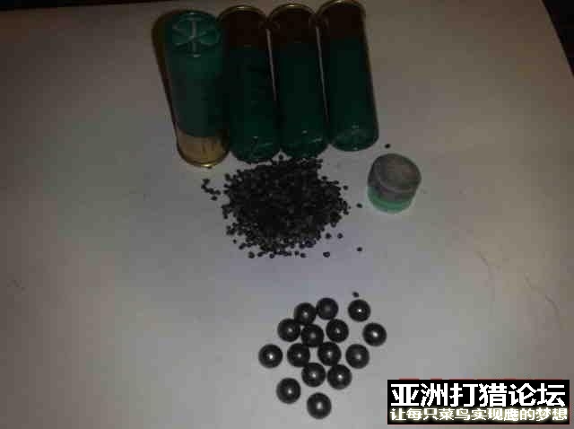 12号猎g00霰弹分解