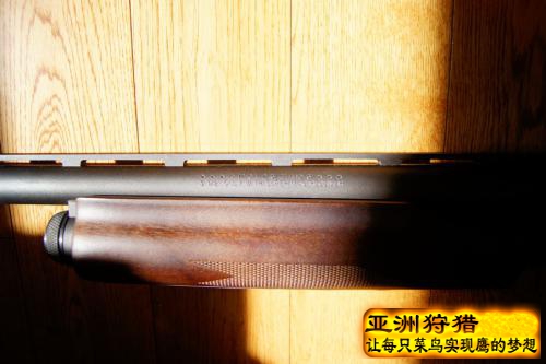 分享雷明登870泵动散弹12ga 2-3/4--3-1/2口径
