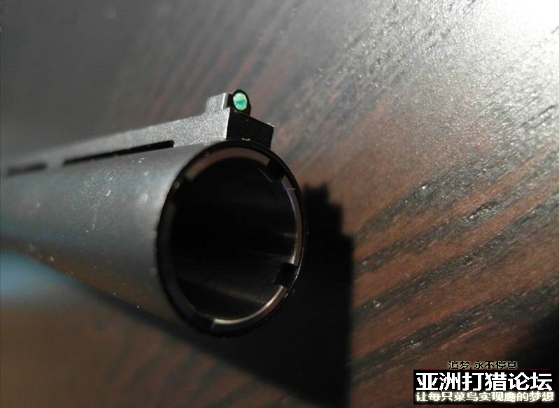 国外，进口猎狗推荐