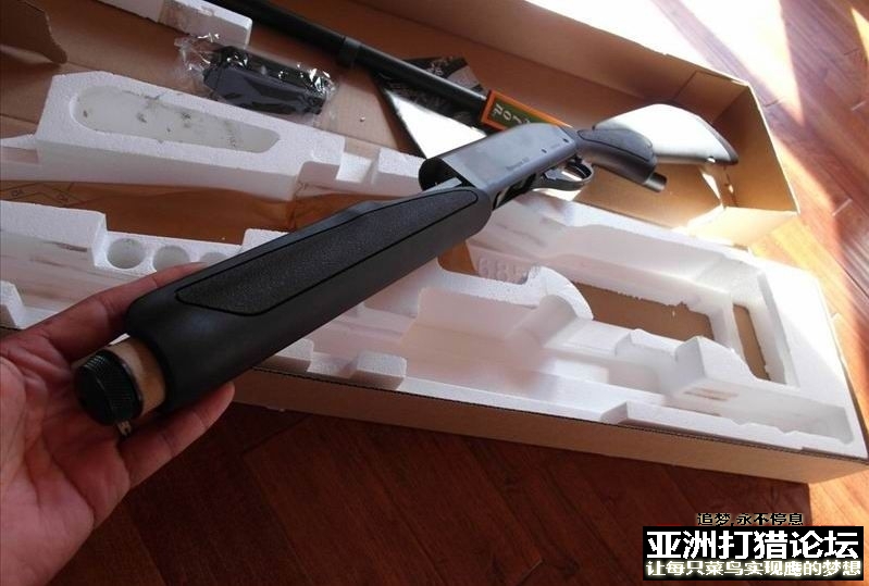 国外，进口猎狗推荐