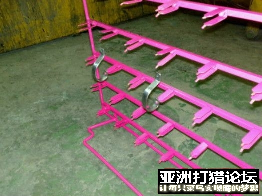 真空电镀~~~~之精品松鼠！！