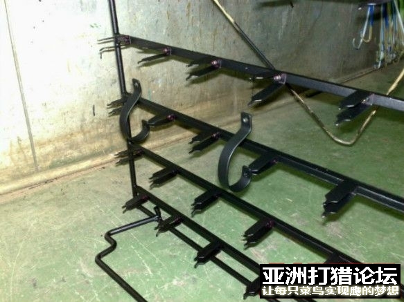 真空电镀~~~~之精品松鼠！！