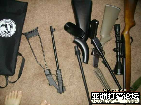 老外拆解 Chiappa Little Badger 22LR