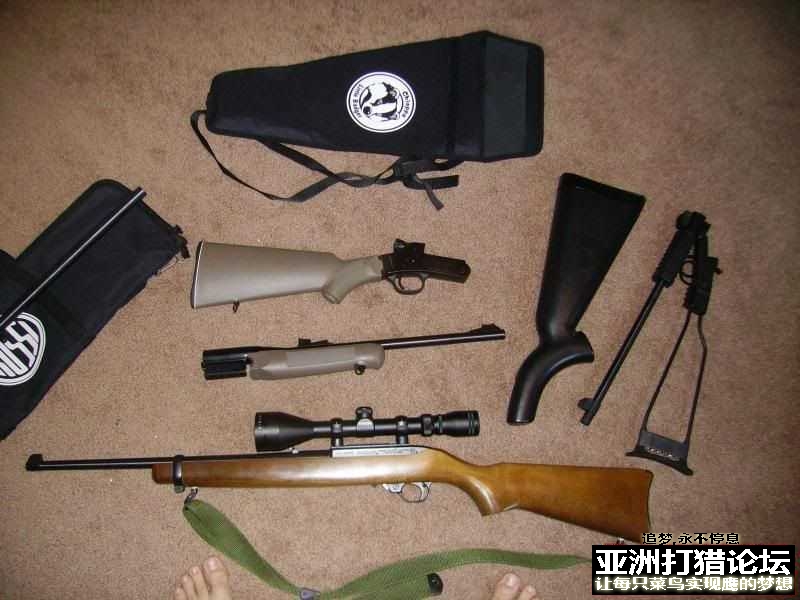 老外拆解 Chiappa Little Badger 22LR