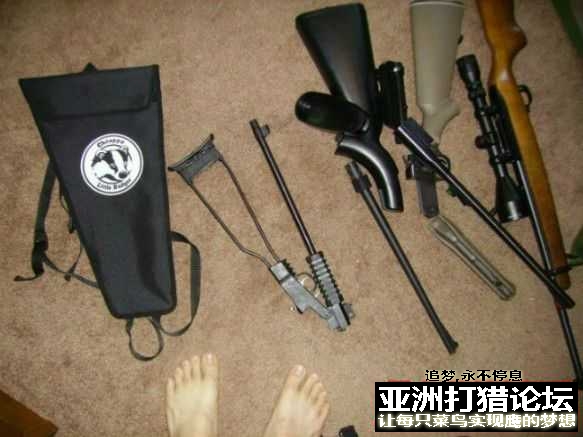 老外拆解 Chiappa Little Badger 22LR