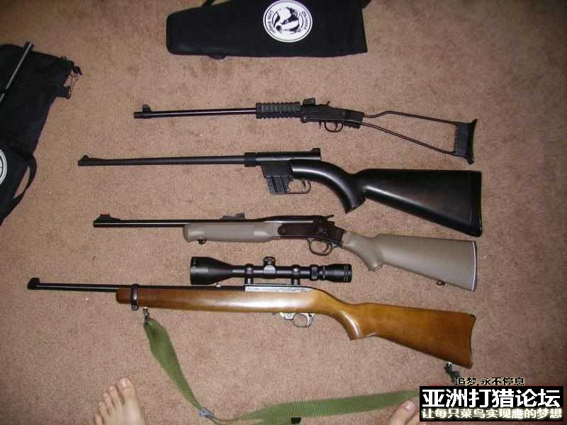 老外拆解 Chiappa Little Badger 22LR