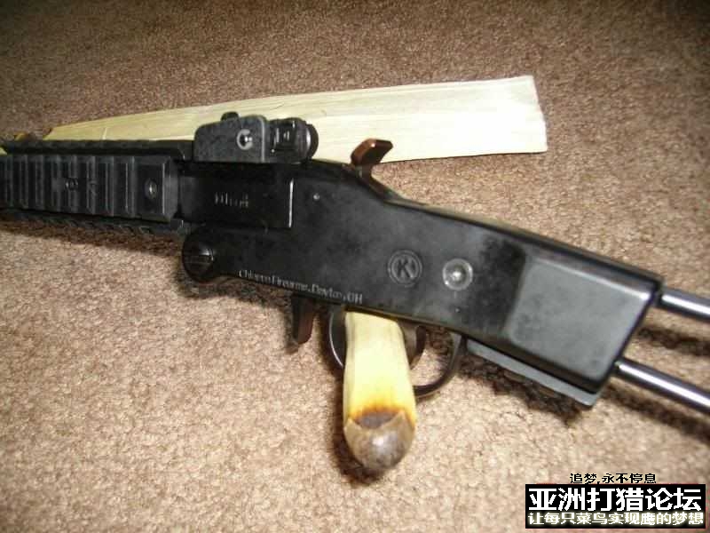 老外拆解 Chiappa Little Badger 22LR