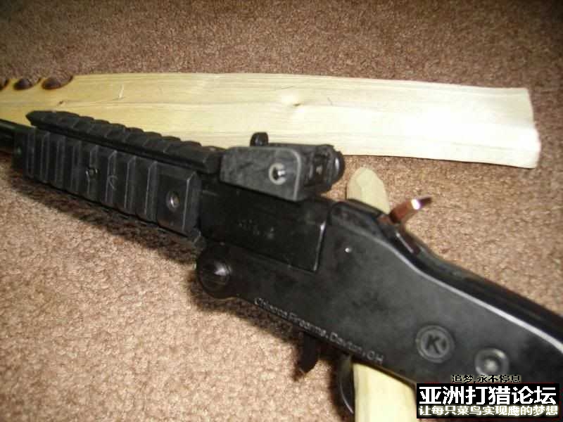 老外拆解 Chiappa Little Badger 22LR