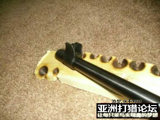 老外拆解 Chiappa Little Badger 22LR