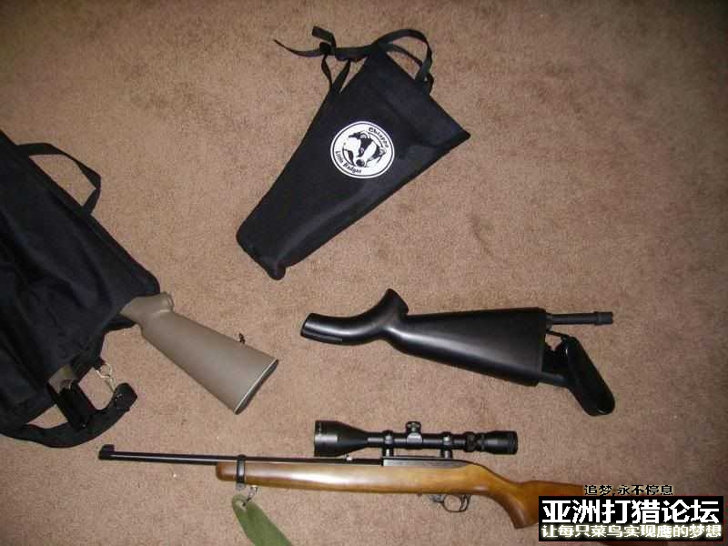 老外拆解 Chiappa Little Badger 22LR