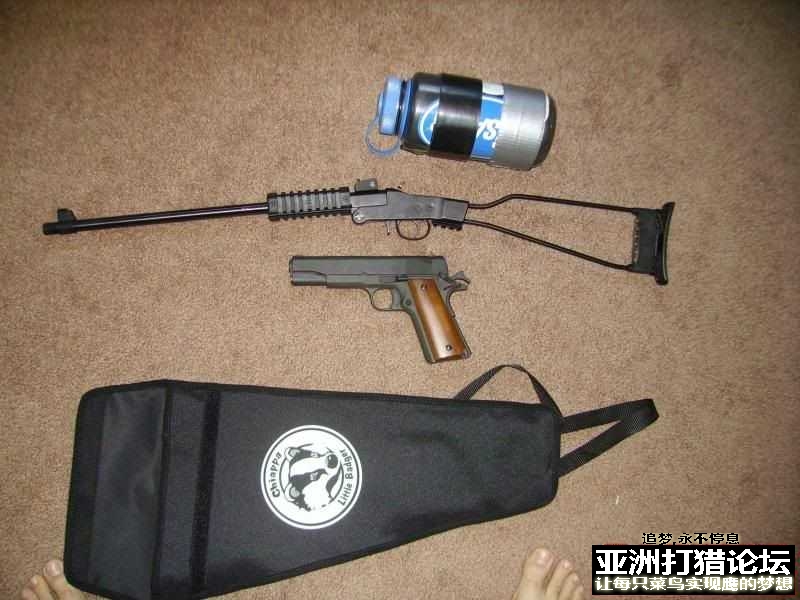老外拆解 Chiappa Little Badger 22LR