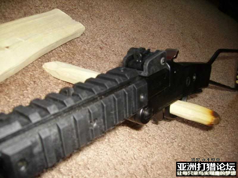 老外拆解 Chiappa Little Badger 22LR