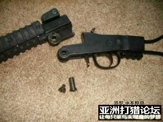 老外拆解 Chiappa Little Badger 22LR