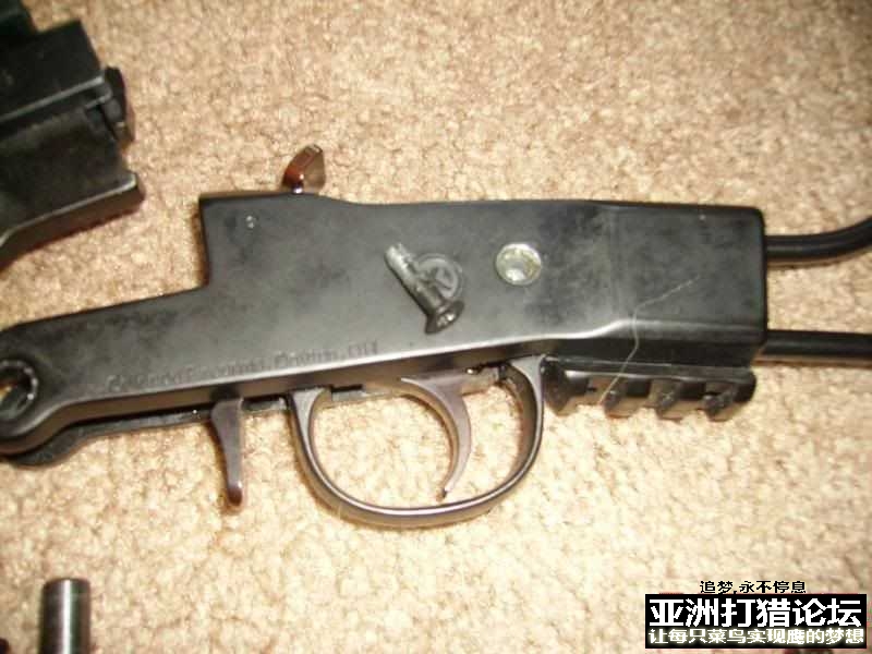 老外拆解 Chiappa Little Badger 22LR