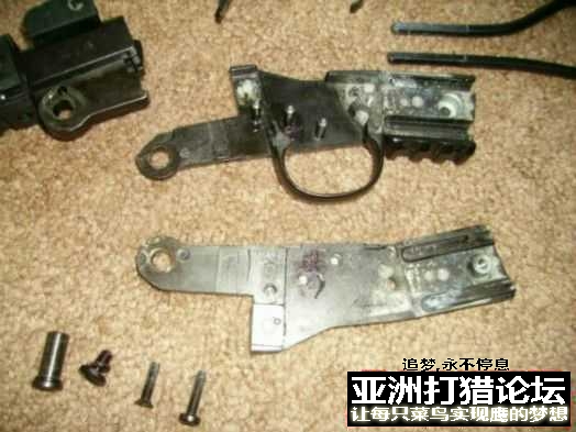 老外拆解 Chiappa Little Badger 22LR
