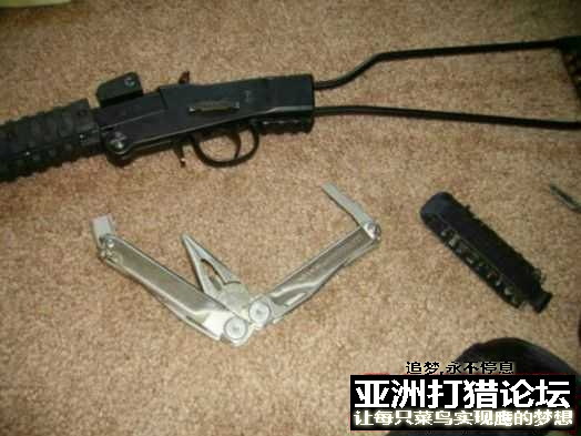 老外拆解 Chiappa Little Badger 22LR