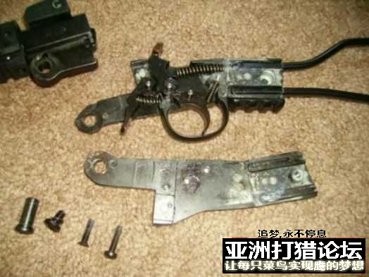 老外拆解 Chiappa Little Badger 22LR